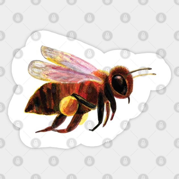 A flying honey bee carrying pollen sacs Sticker by Julia Doria Illustration